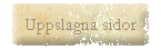 Uppslagna sidor
